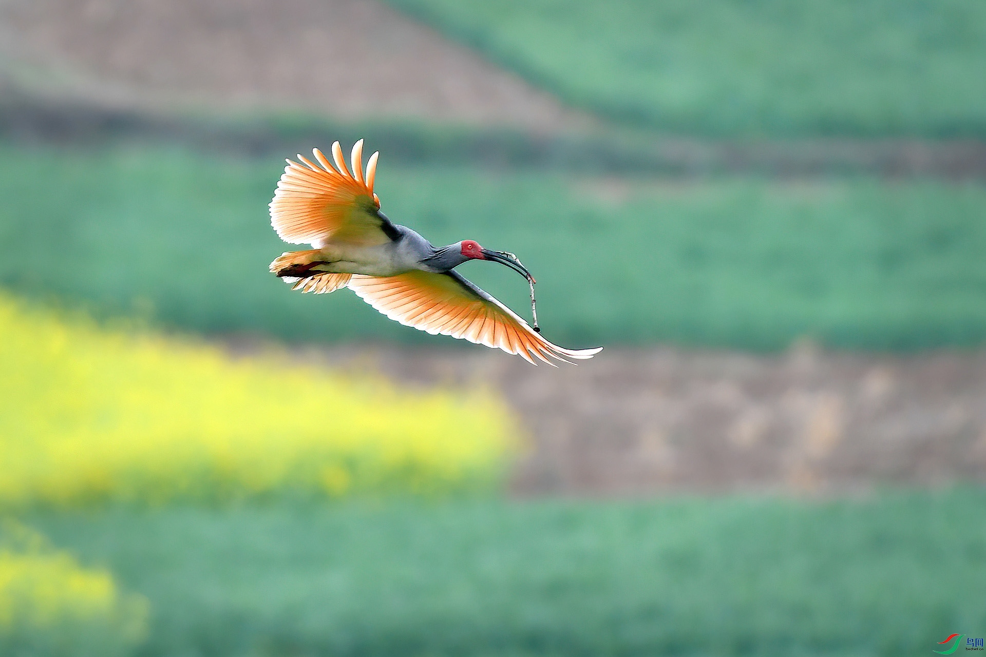 DSC_6795sssx.jpg