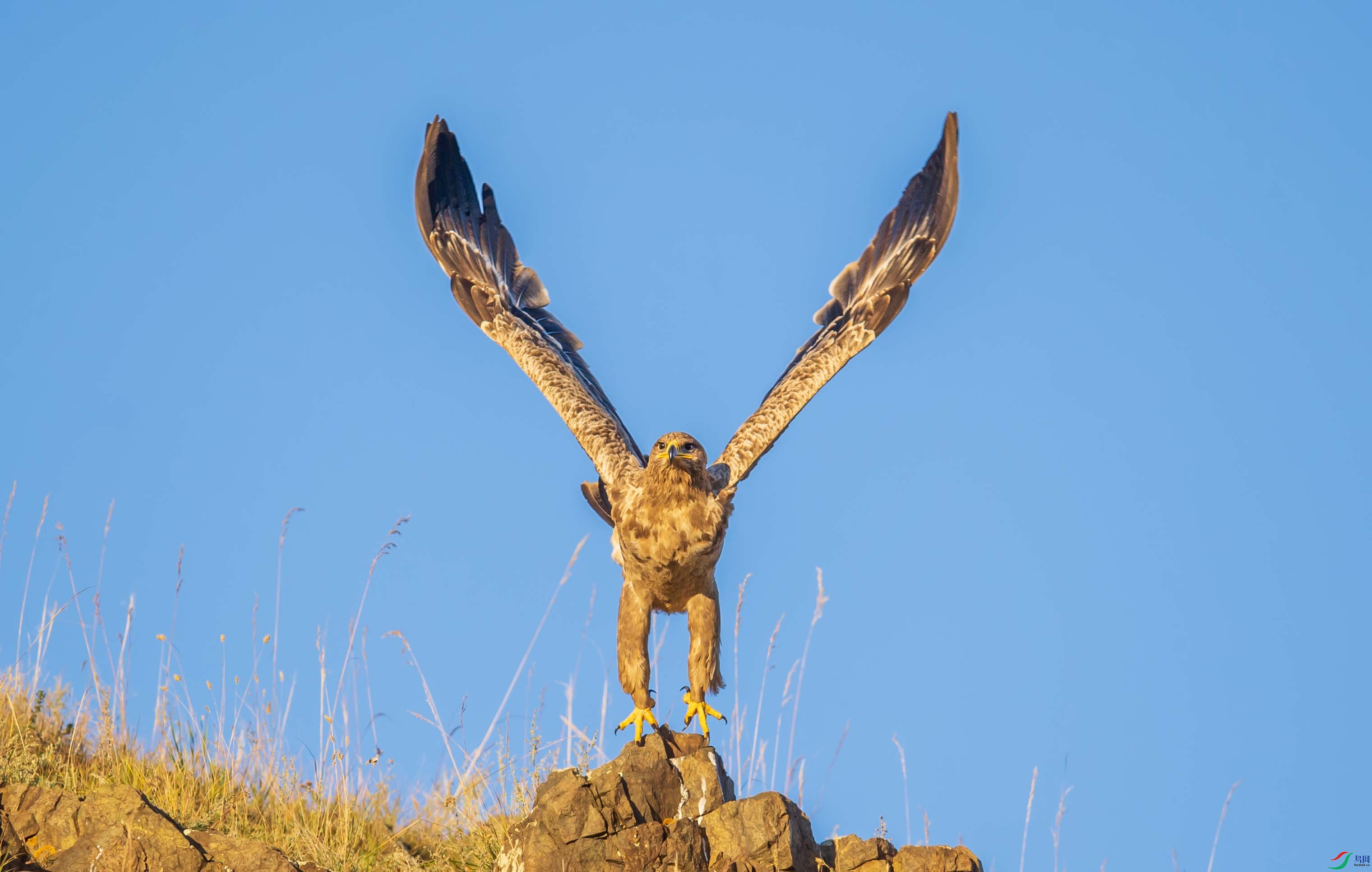 WGB_3114-1.jpg