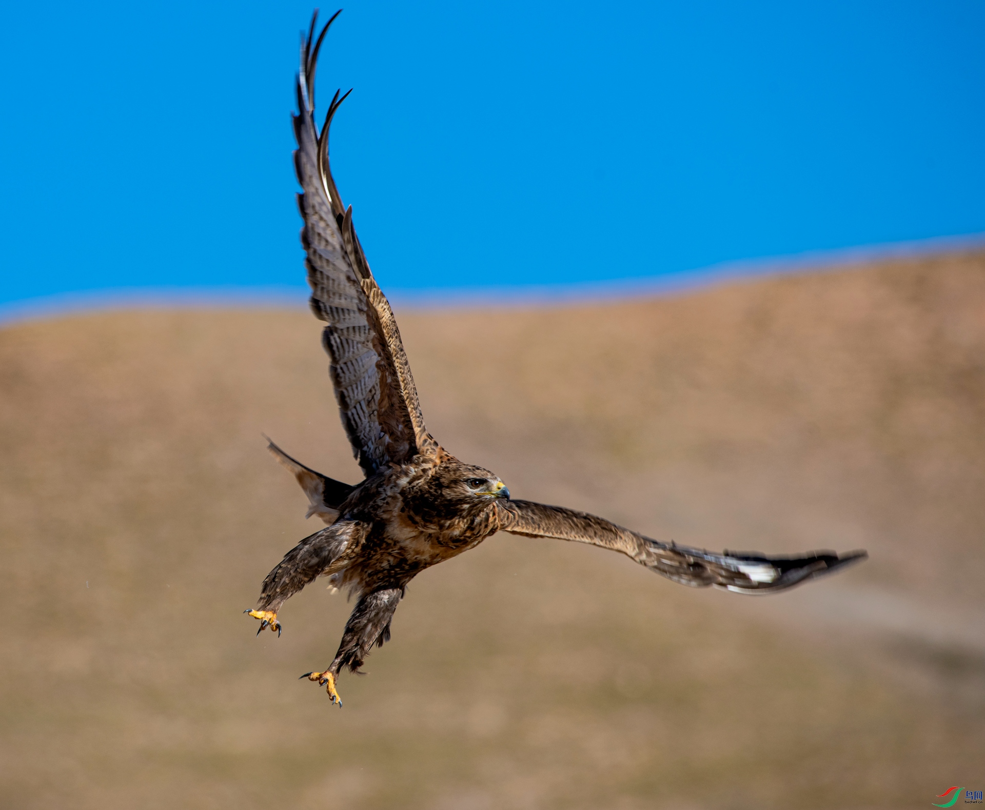 _DSC4786_����.jpg