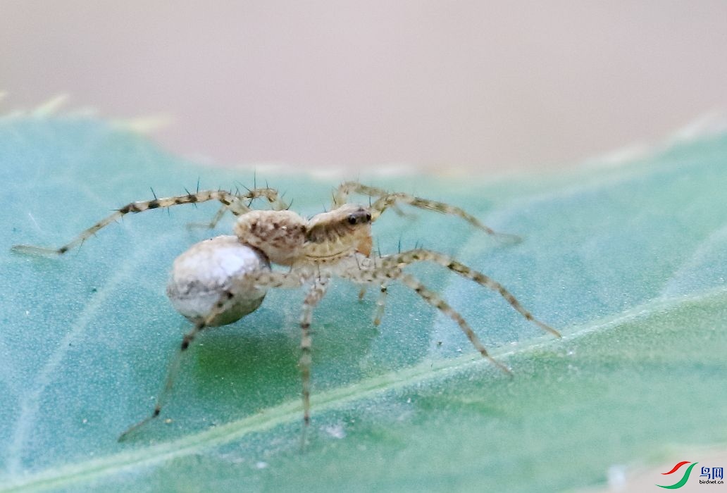 0E8A7902.JPG