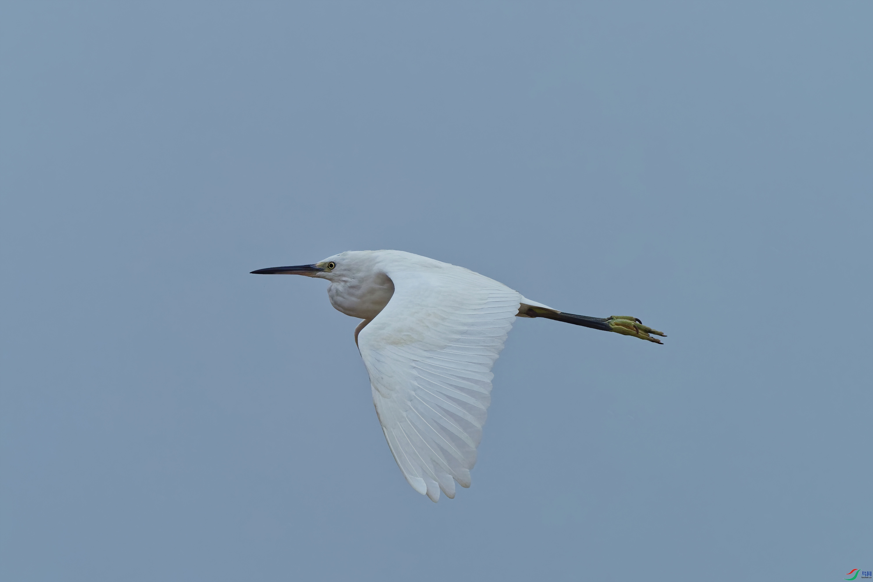 P9040057_DxO-d2.jpg