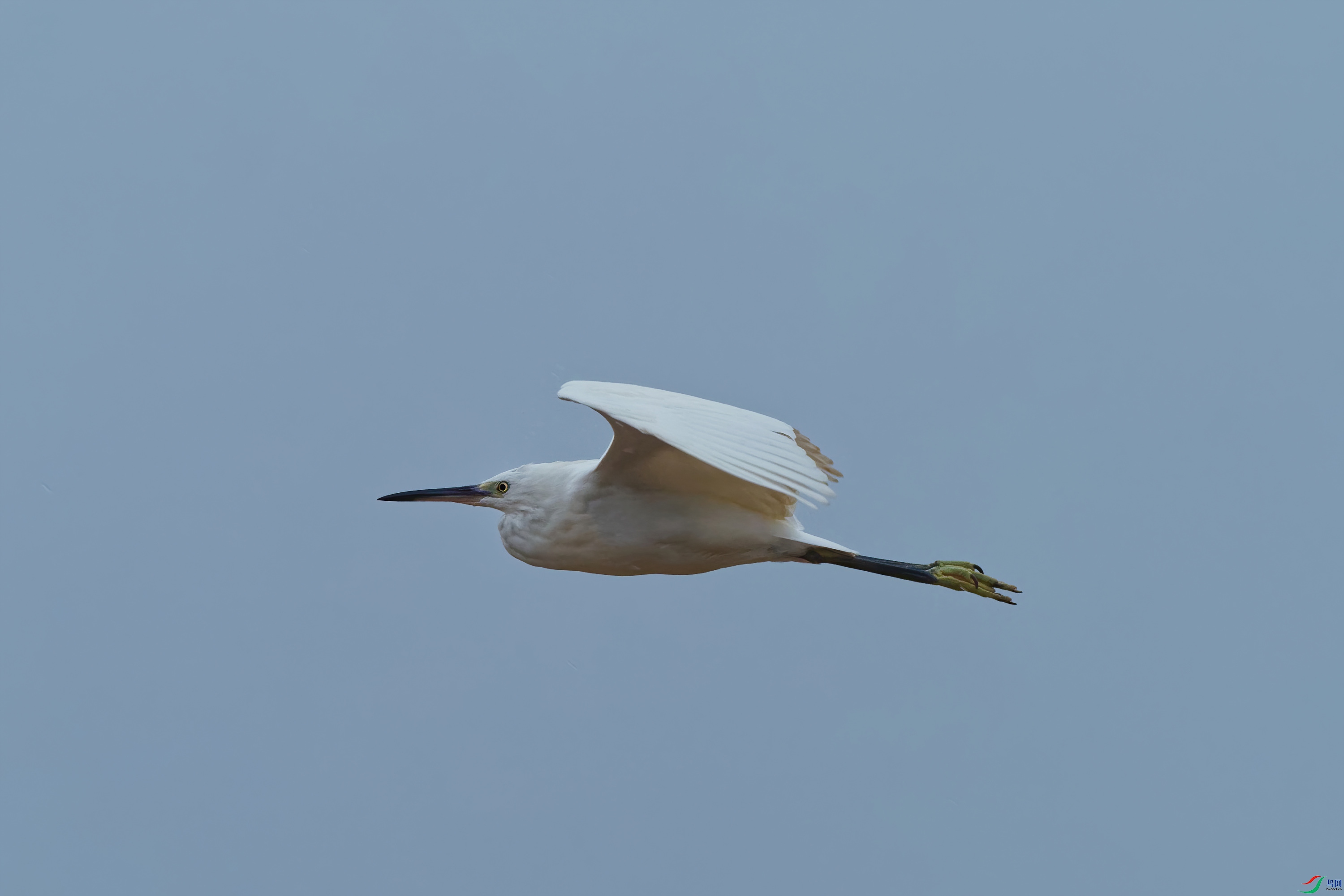 P9040058_DxO-d2.jpg
