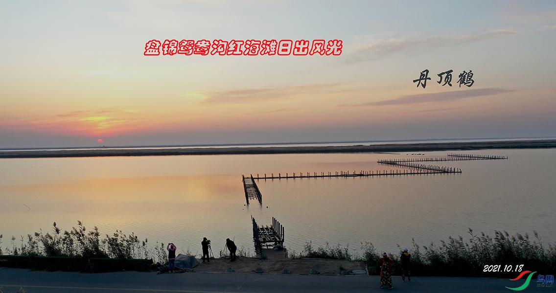 DJI_0603aa.jpg
