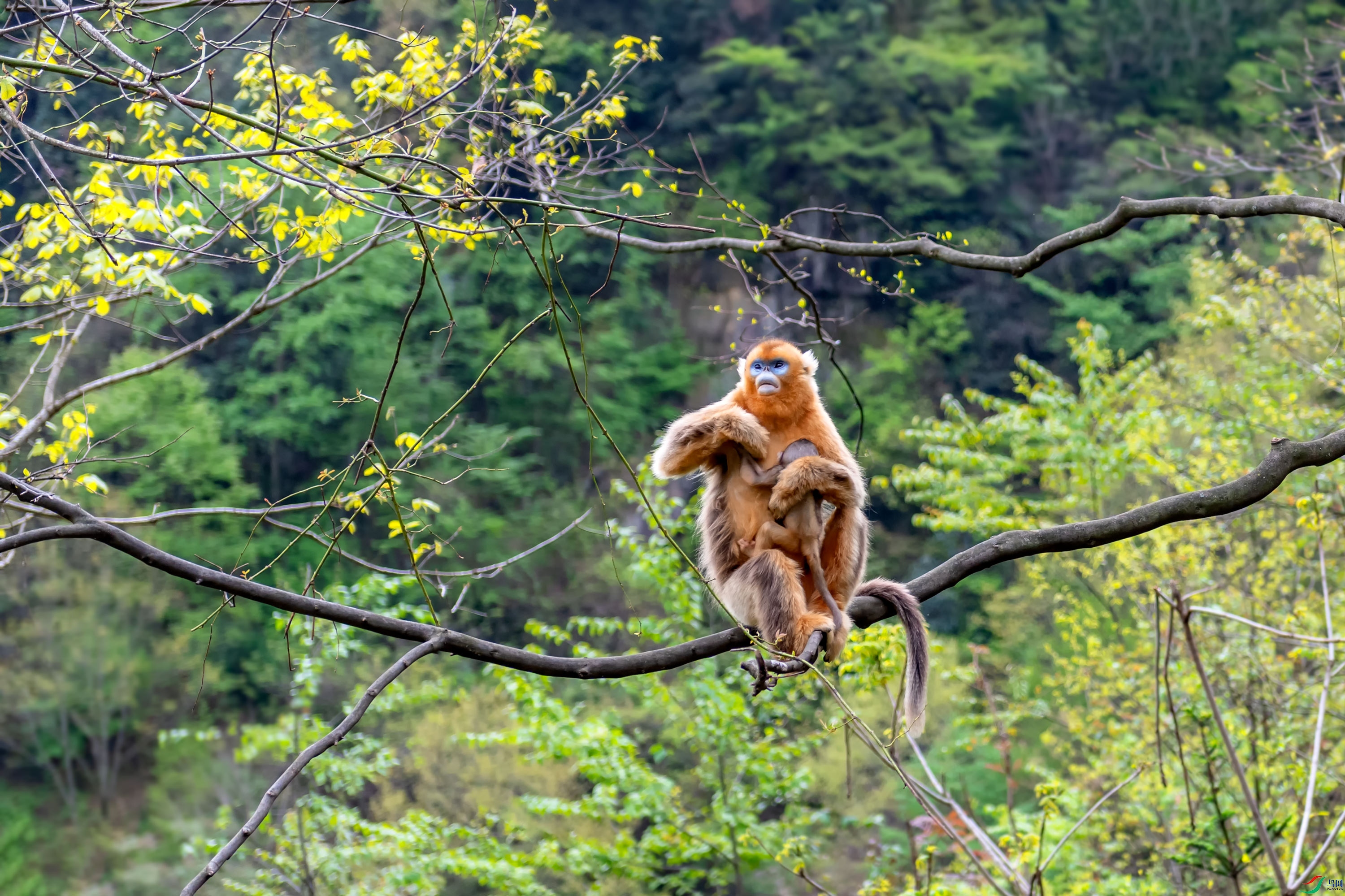 DSC_2015_��ͼ��.jpg--F.jpg