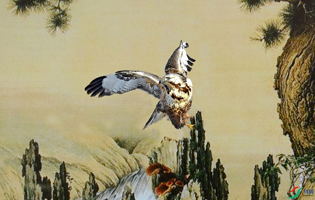 5.����-��