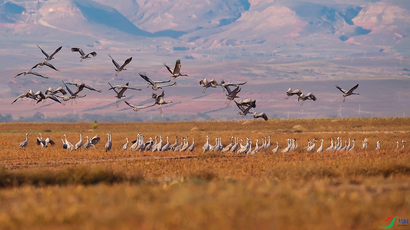 DSC_1514 - ����.jpg