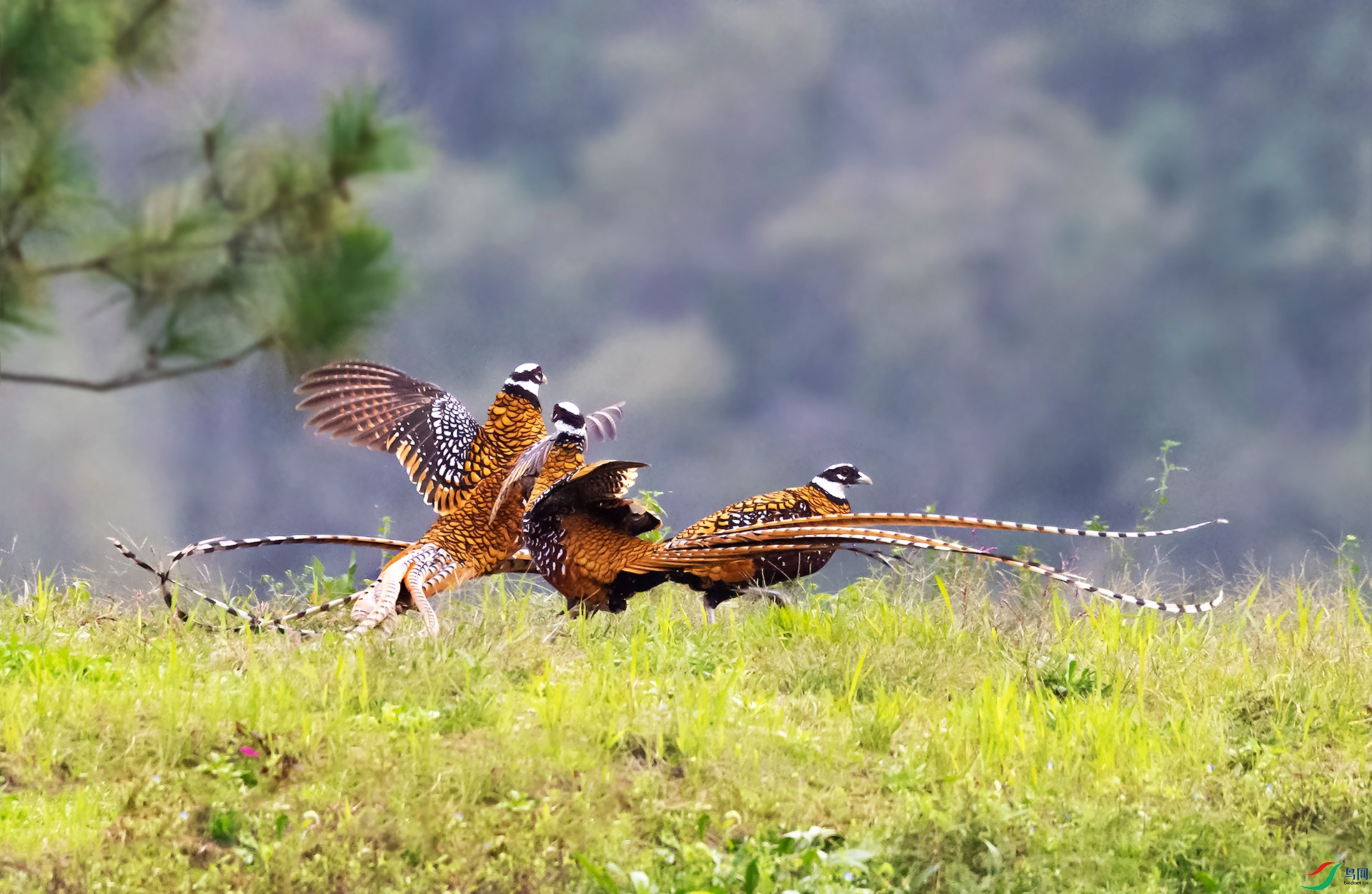 _DSC2383 ����.jpg