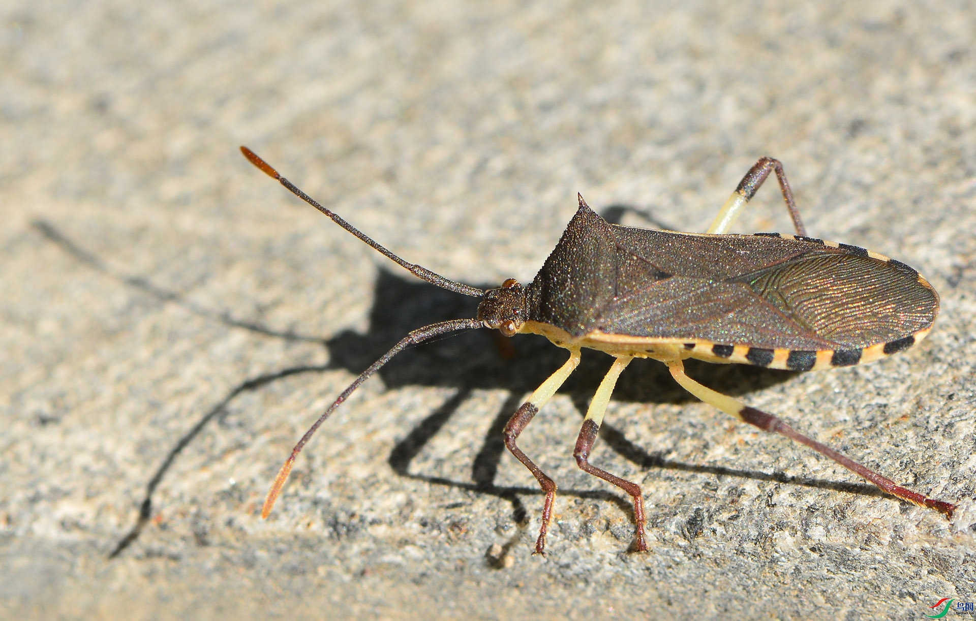 ������Ӱ 3048����.jpg