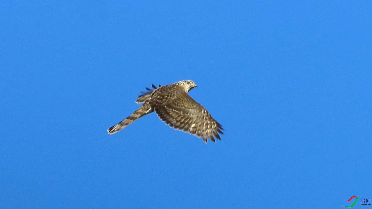 IMG_6732.JPG
