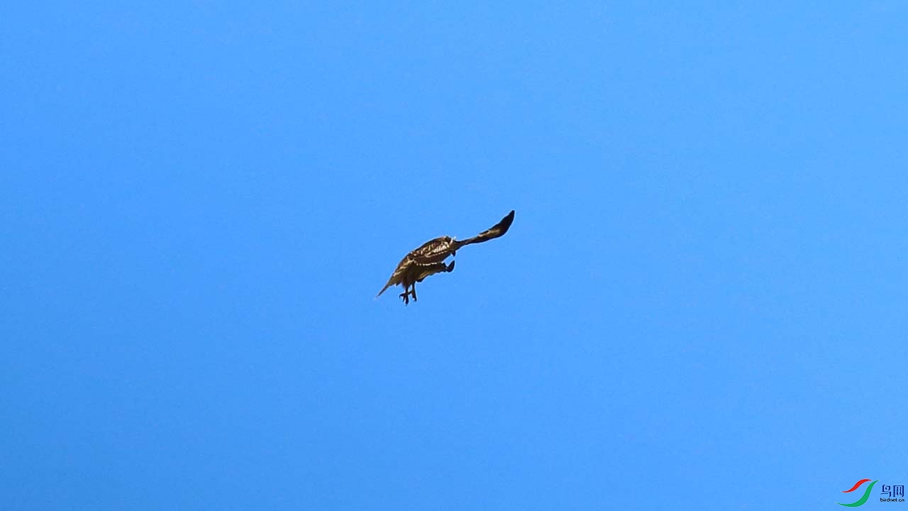 IMG_6636.JPG