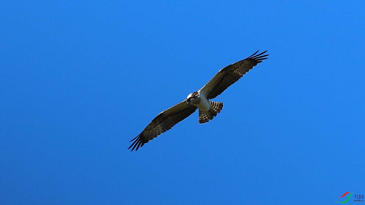 IMG_6698.JPG