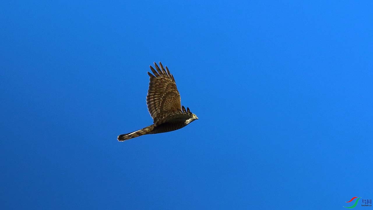 IMG_6733.JPG