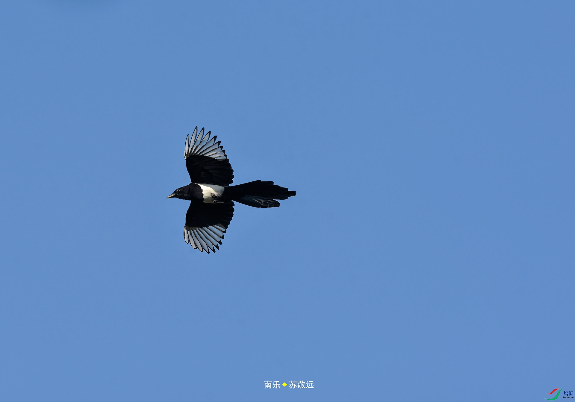 _DSC7223С.jpg