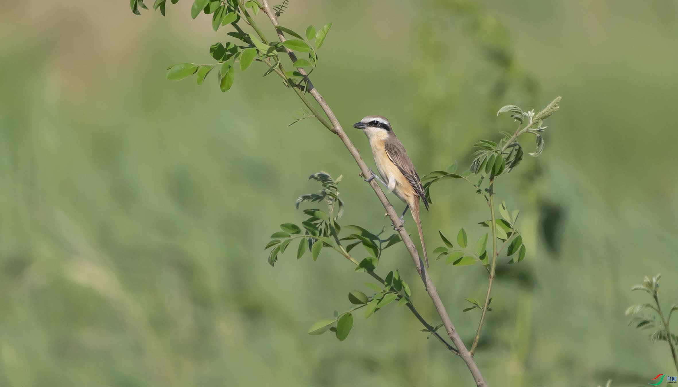 DSC01279-3 - ���� (2).jpg