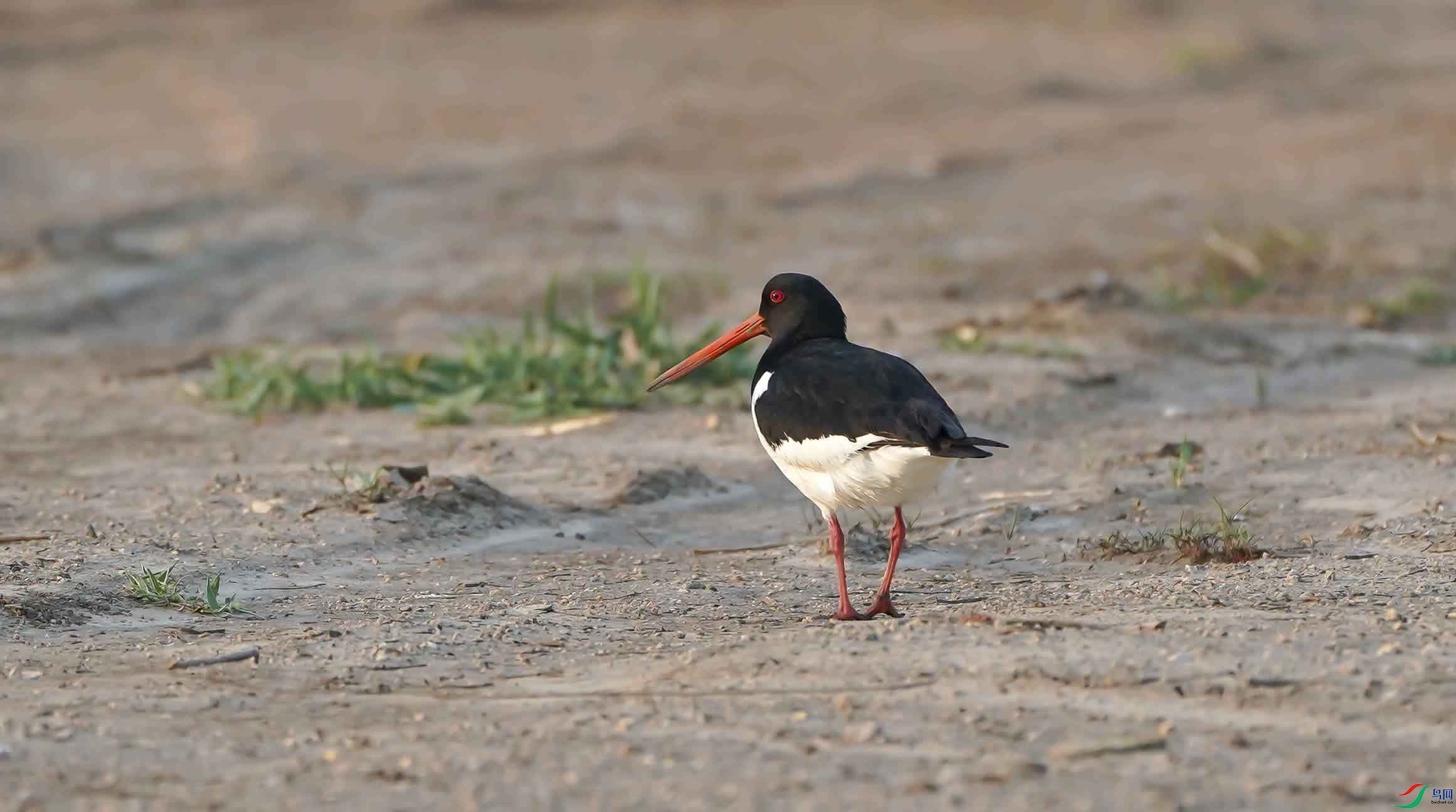 DSC02725-3 - ���� (2).jpg