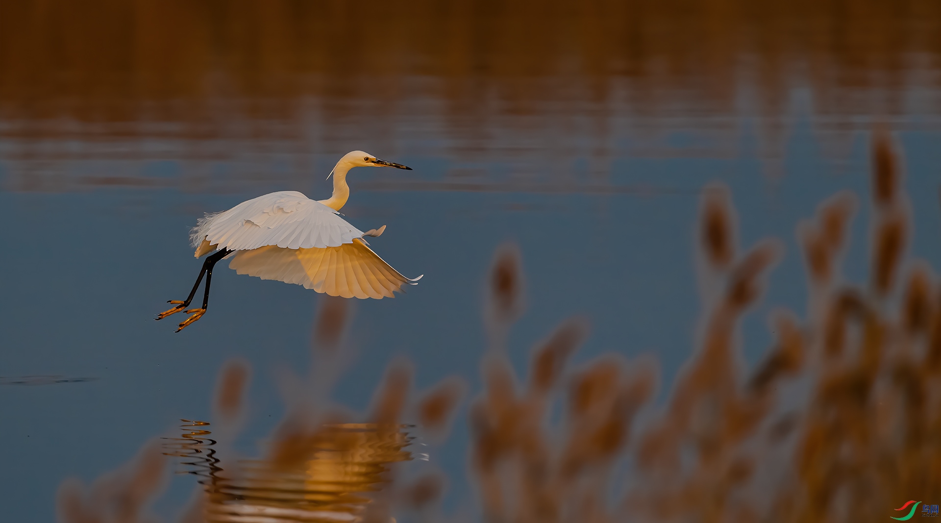 DSC_6953-9.jpg
