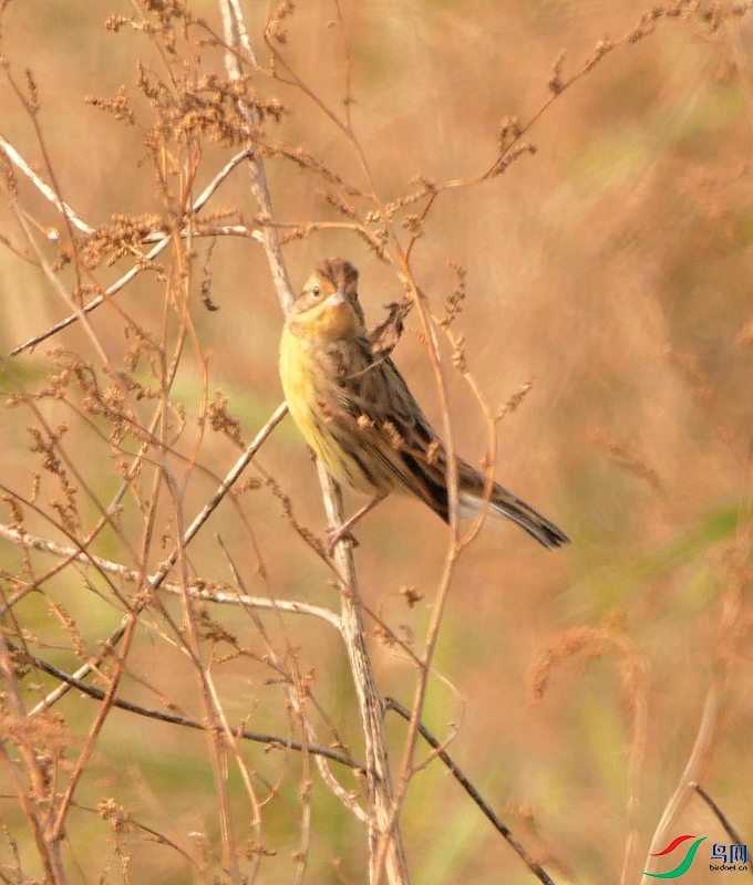 P7370245 - ����.JPG