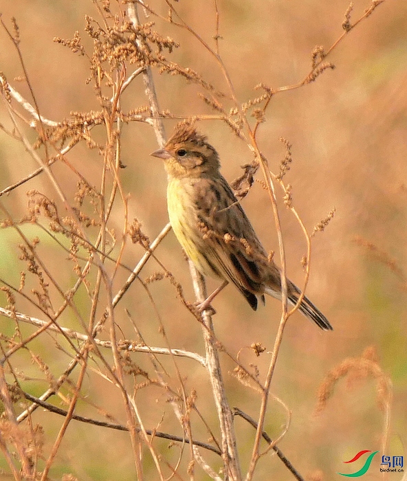 P7370240 - ����.JPG