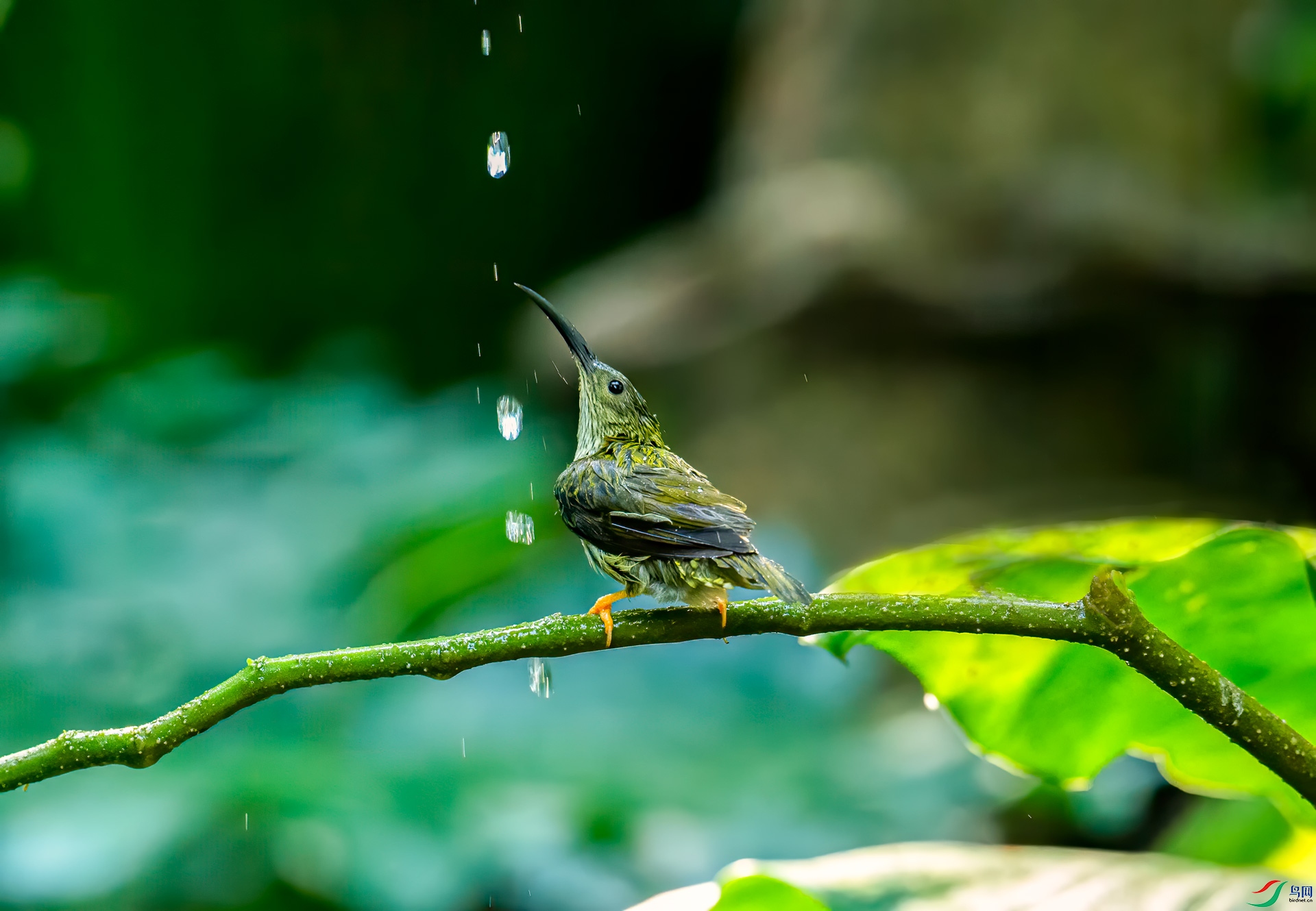 DSC_9324.jpg