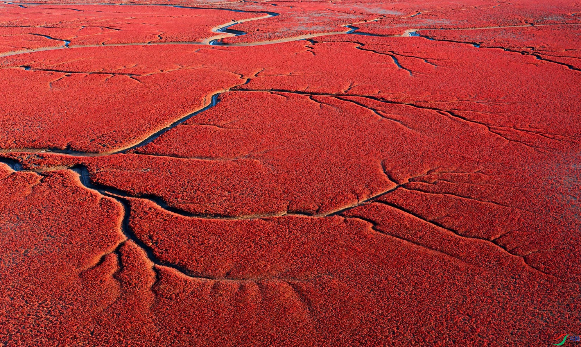 DJI_0434 ����.jpg1.jpg