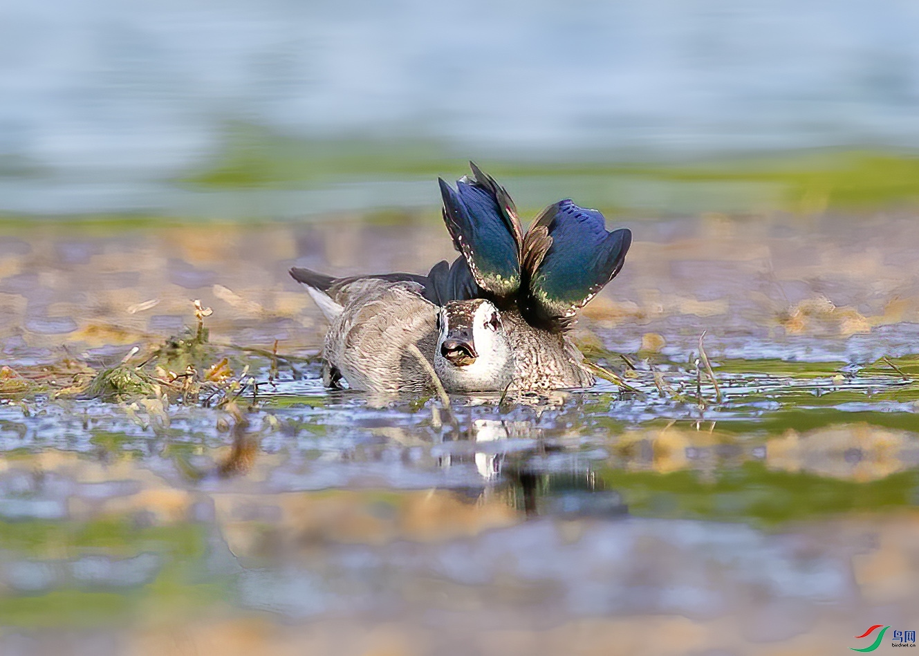 D5W_1429-1.jpg
