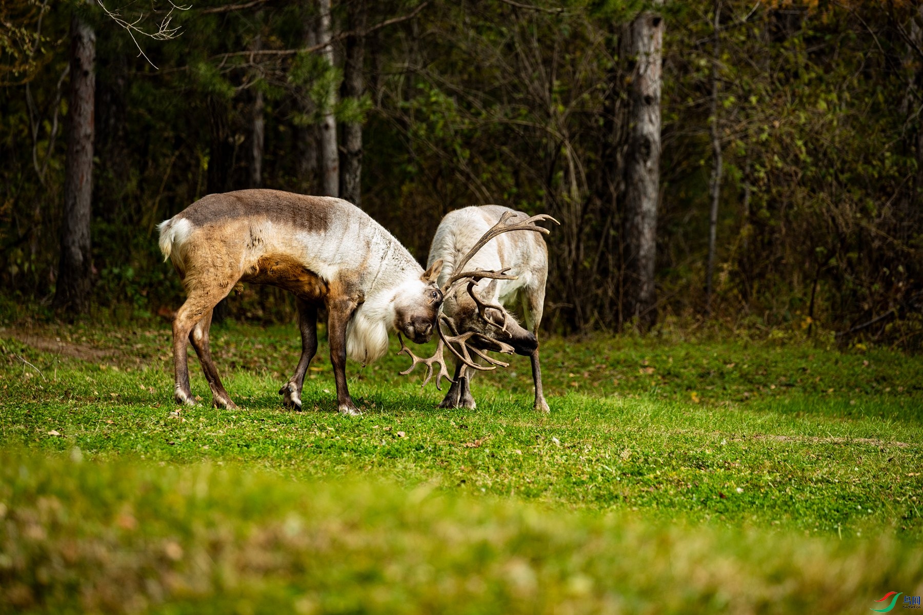 �ƾ����� (2).jpg