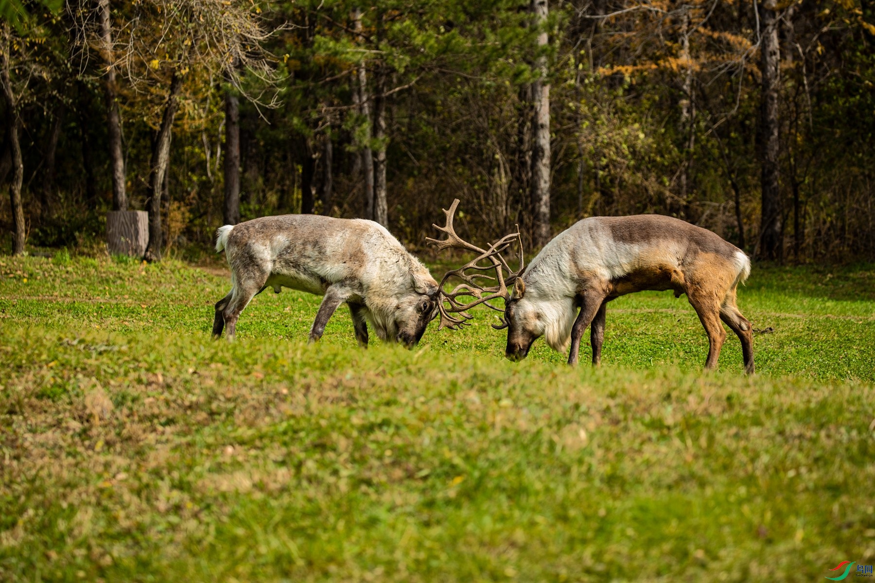 �ƾ����� (1).jpg