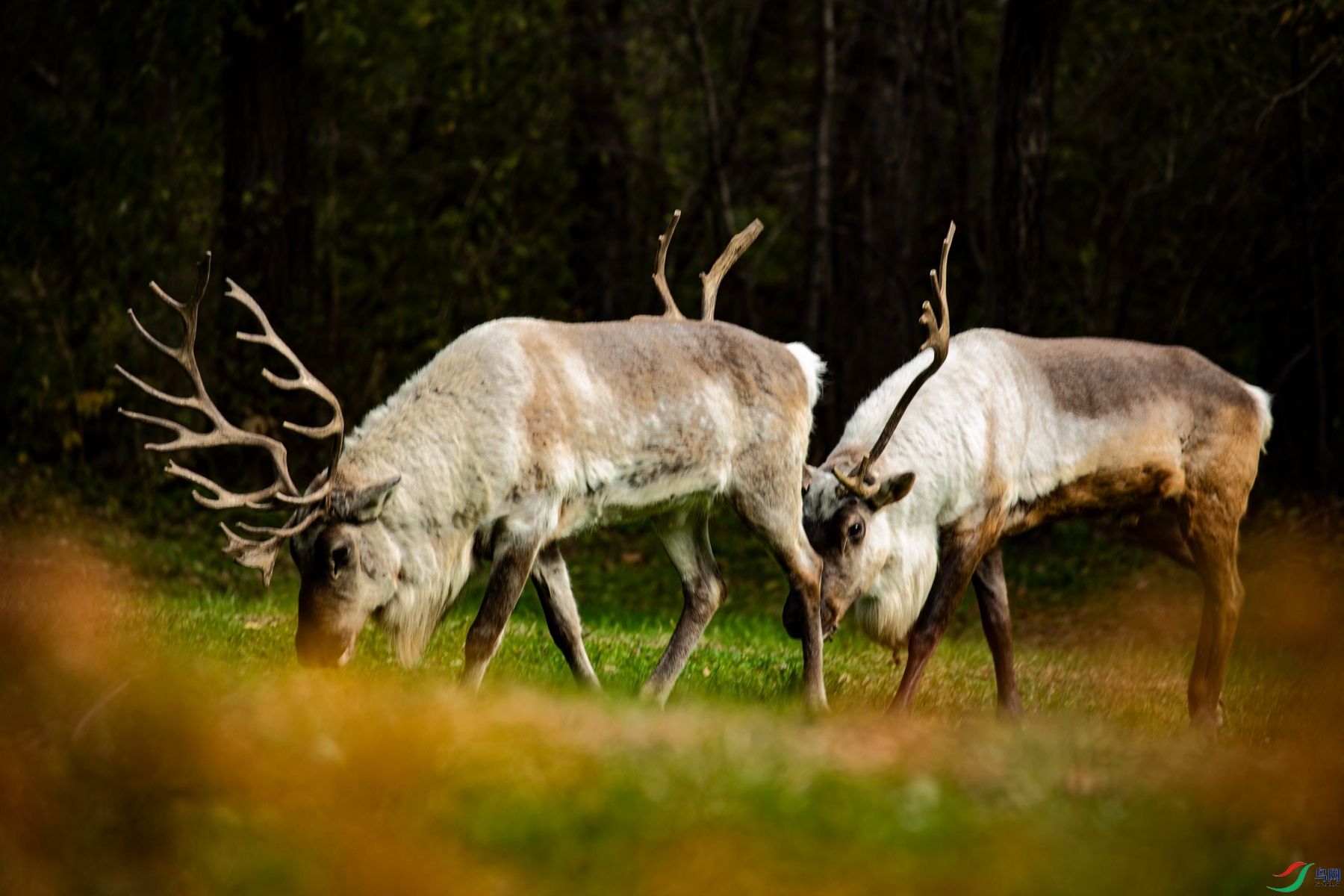 �ƾ����� (3).jpg