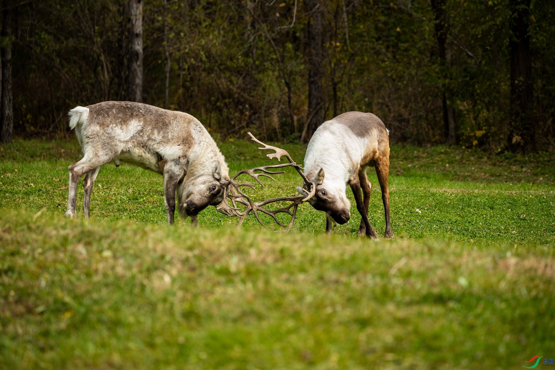 �ƾ����� (5).jpg