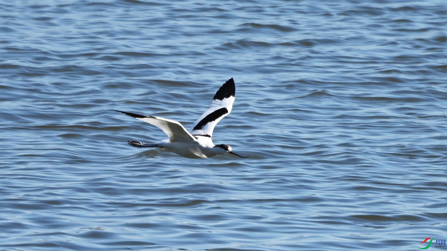 DSC_7916.jpg