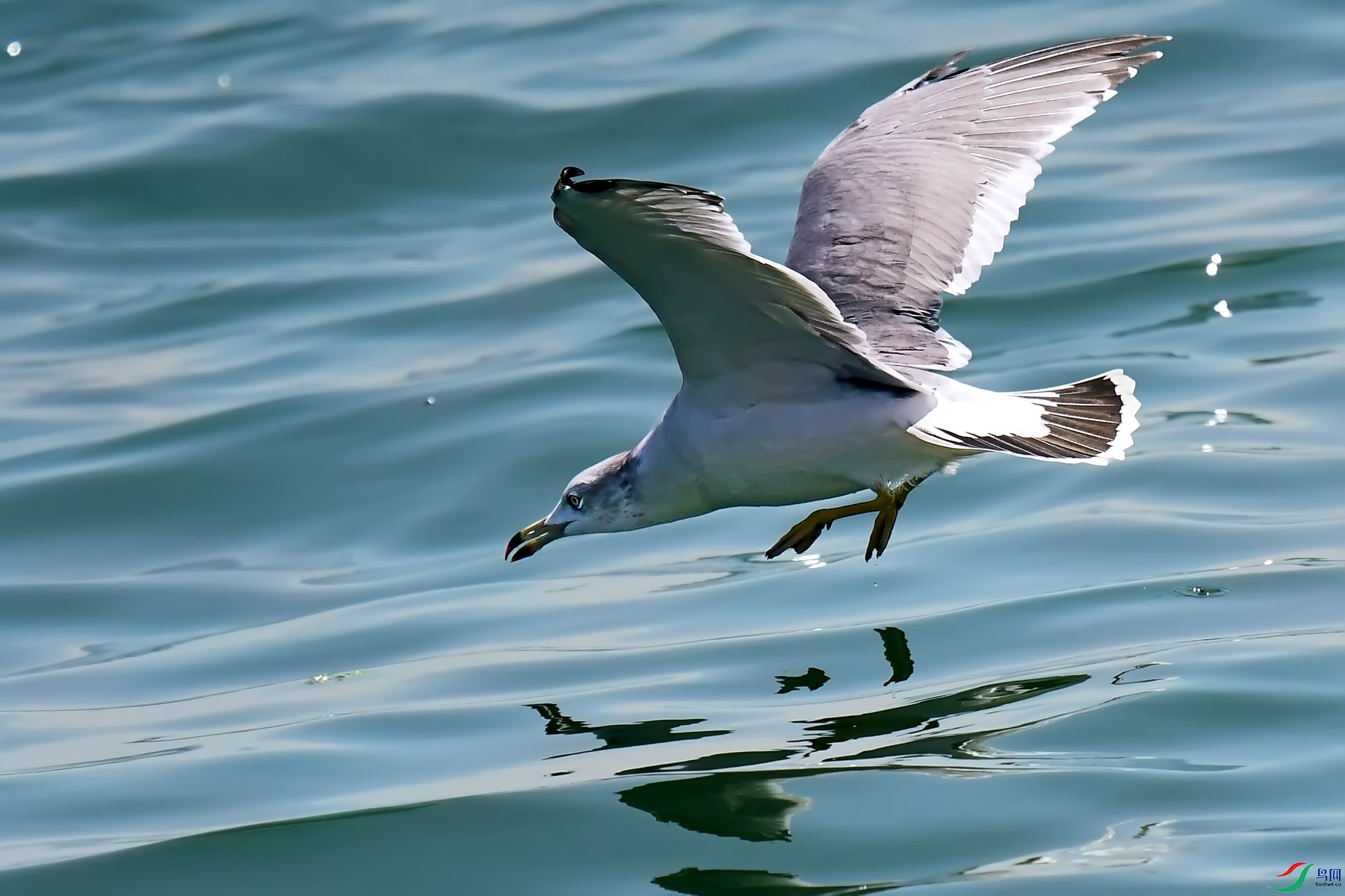 DSC_0161.jpg