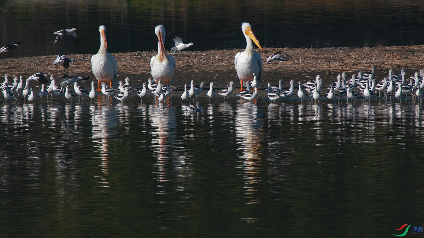 DSC_5473С.jpg