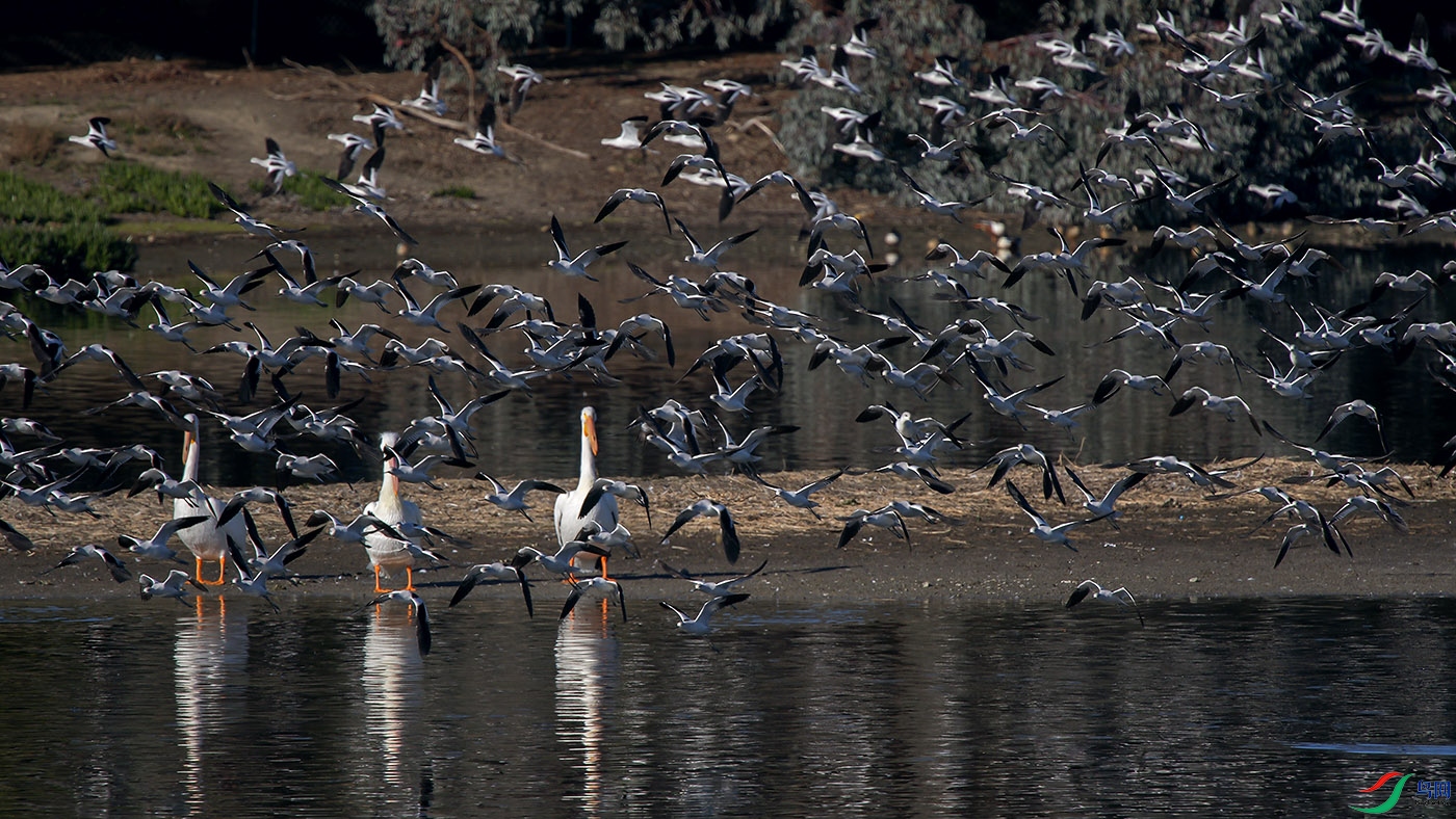 DSC_5480С.jpg