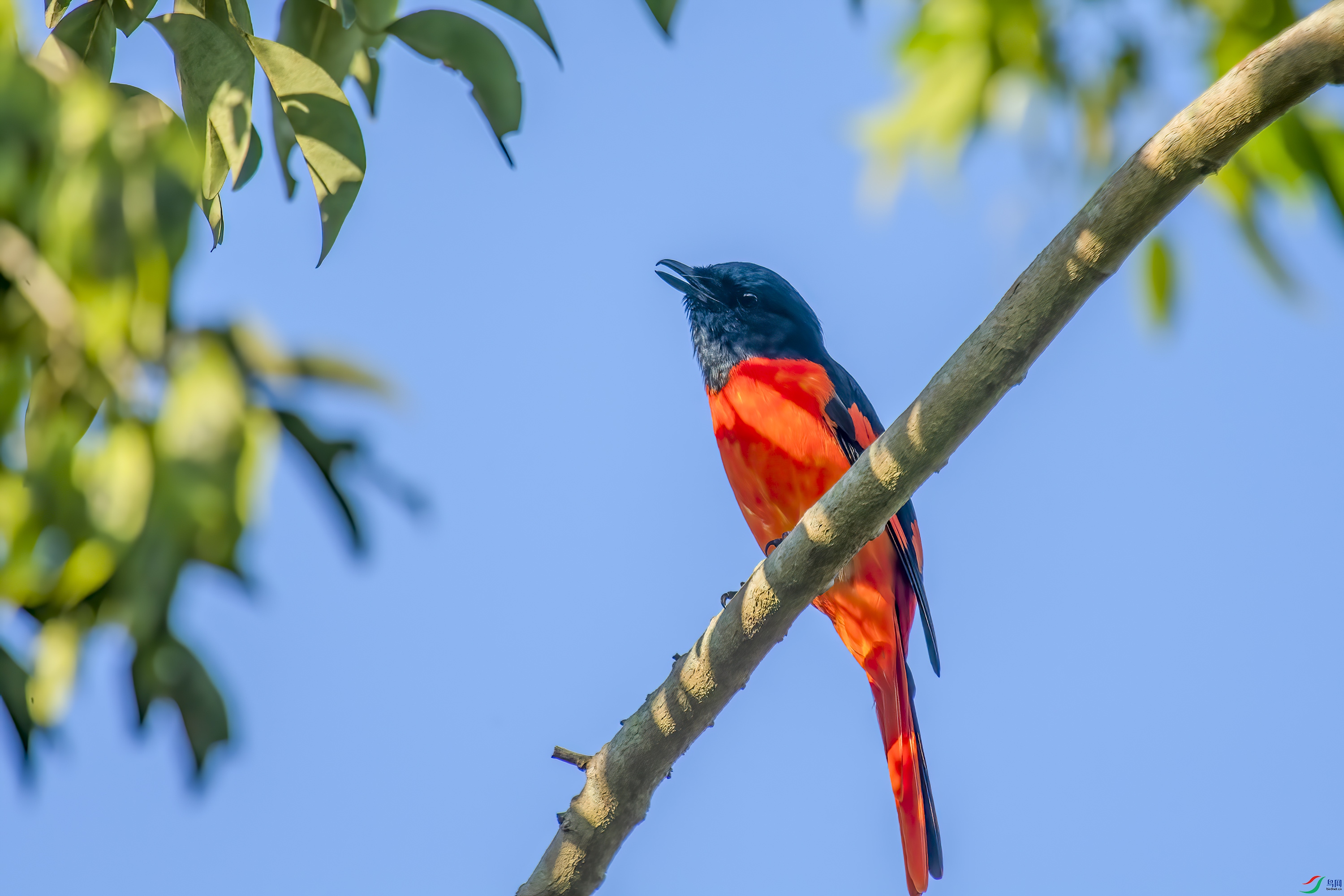 DSC_5369.jpg