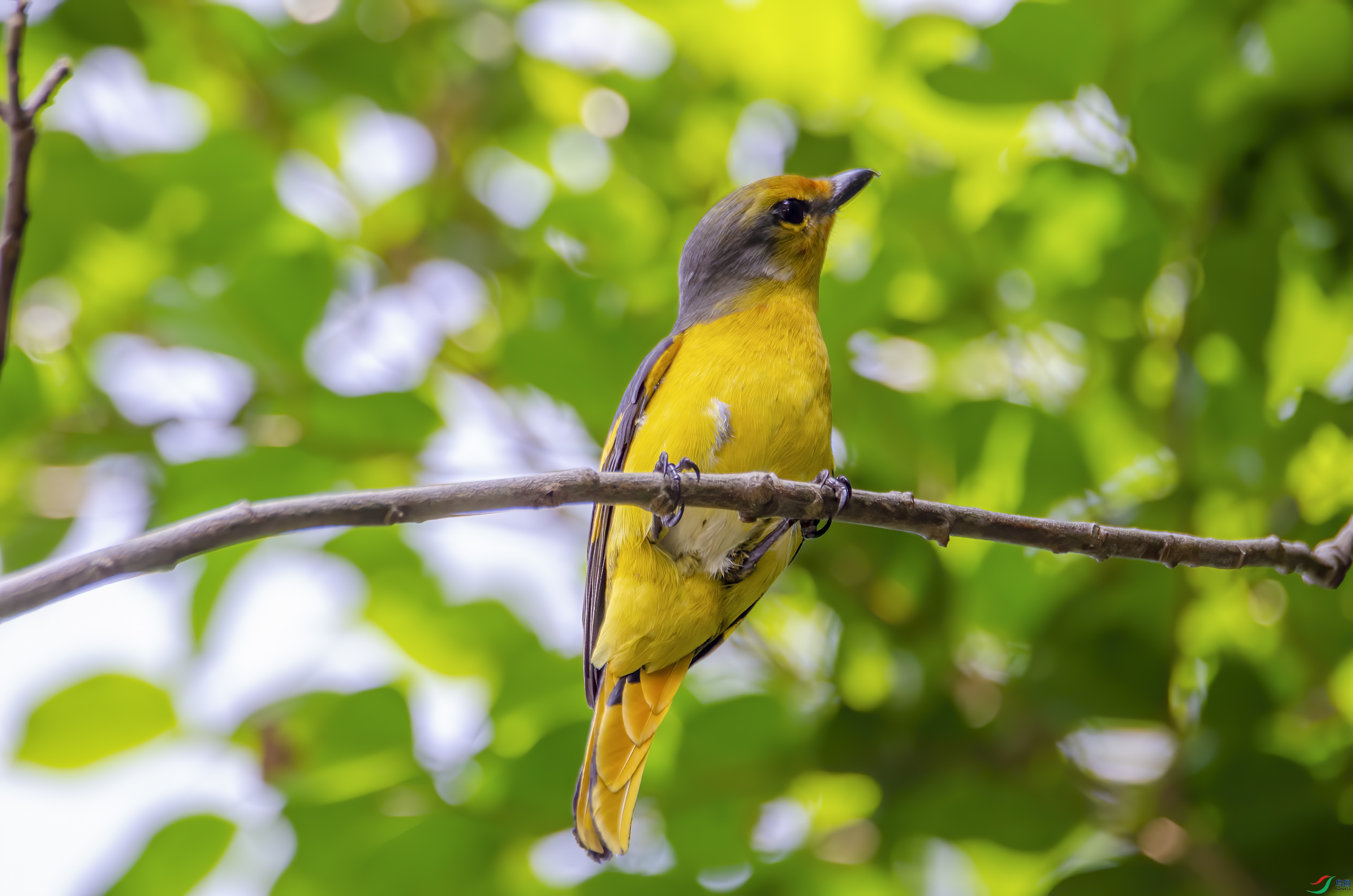 DSC_2798_1.jpg