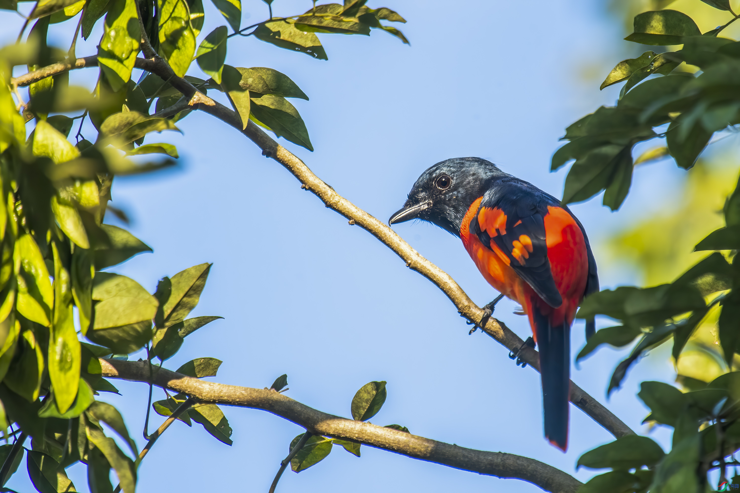 DSC_5499.jpg