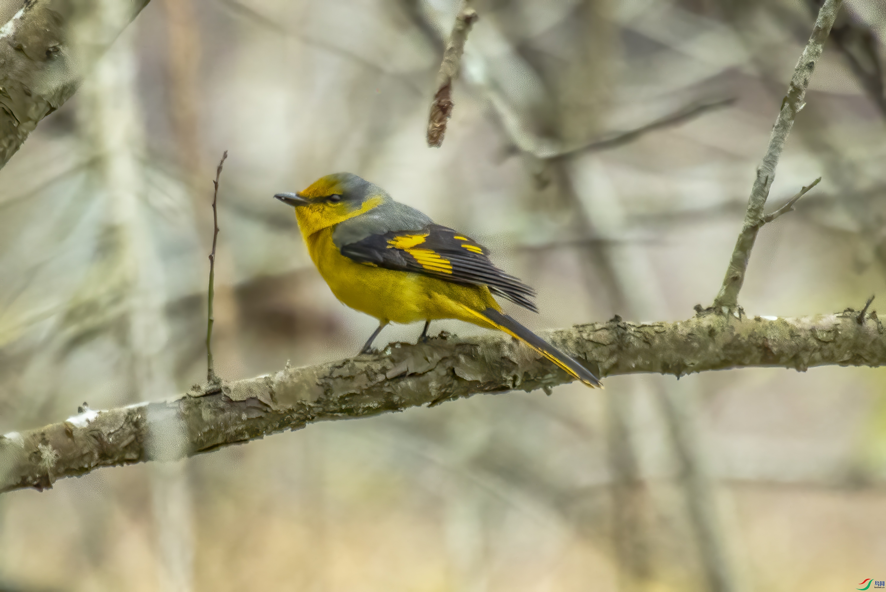 DSC_1866.jpg