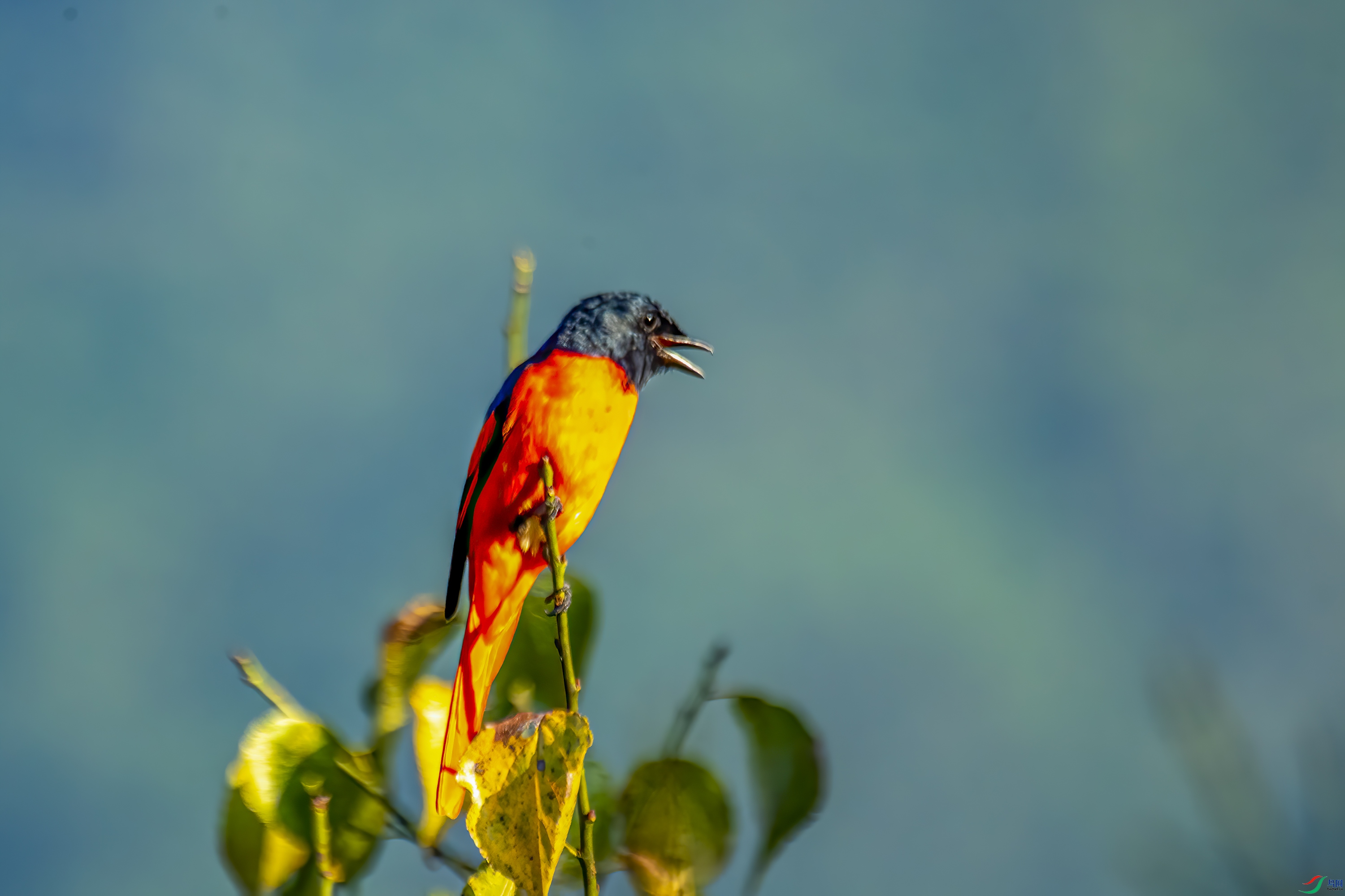 DSC_5082.jpg