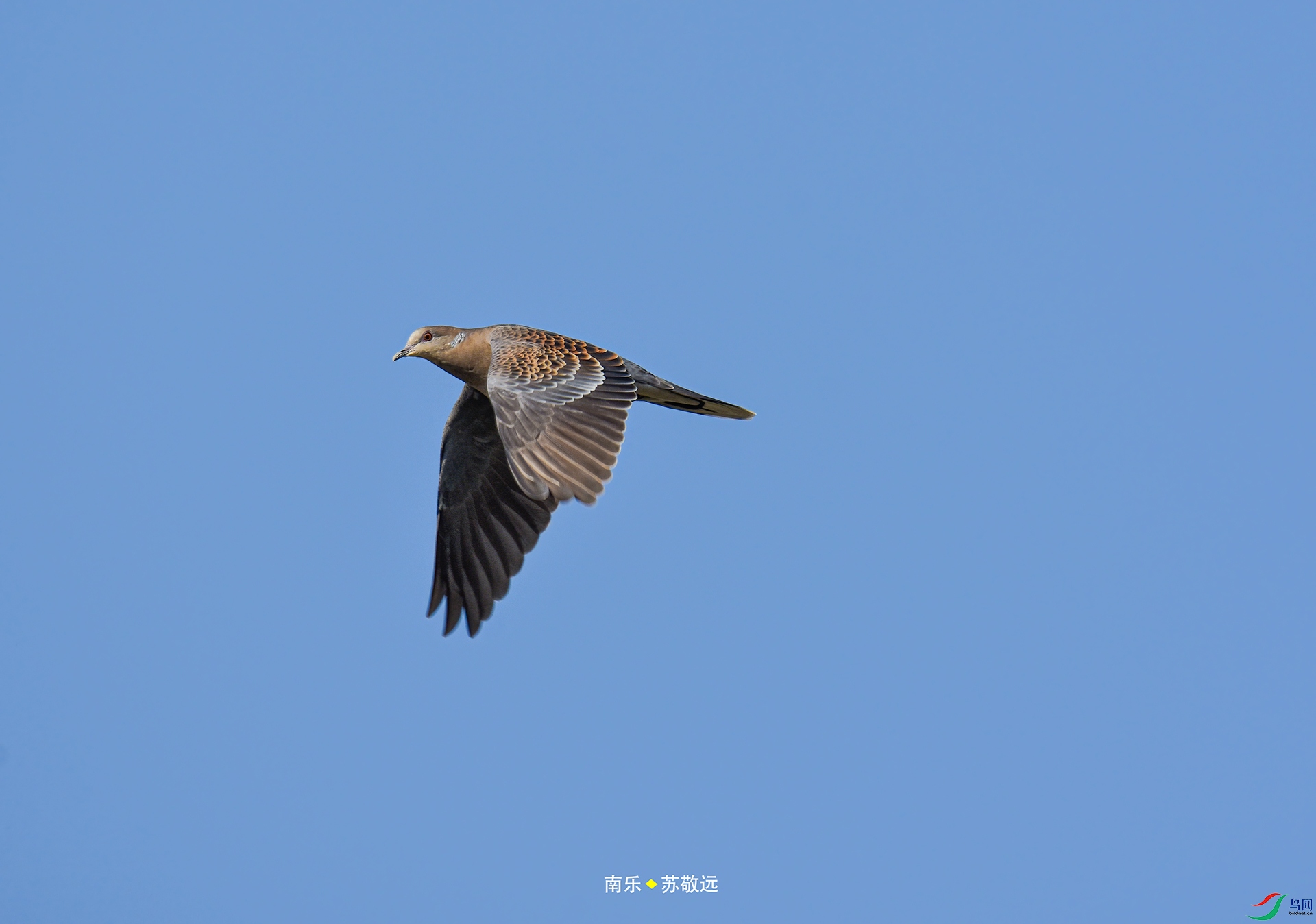 _DSC7281С.jpg