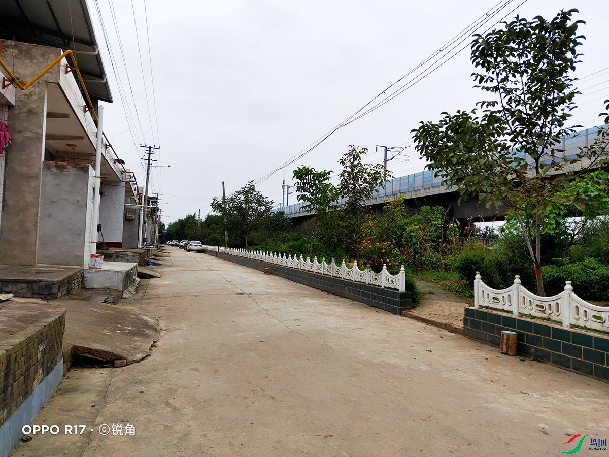 IMG20211017103028.jpg