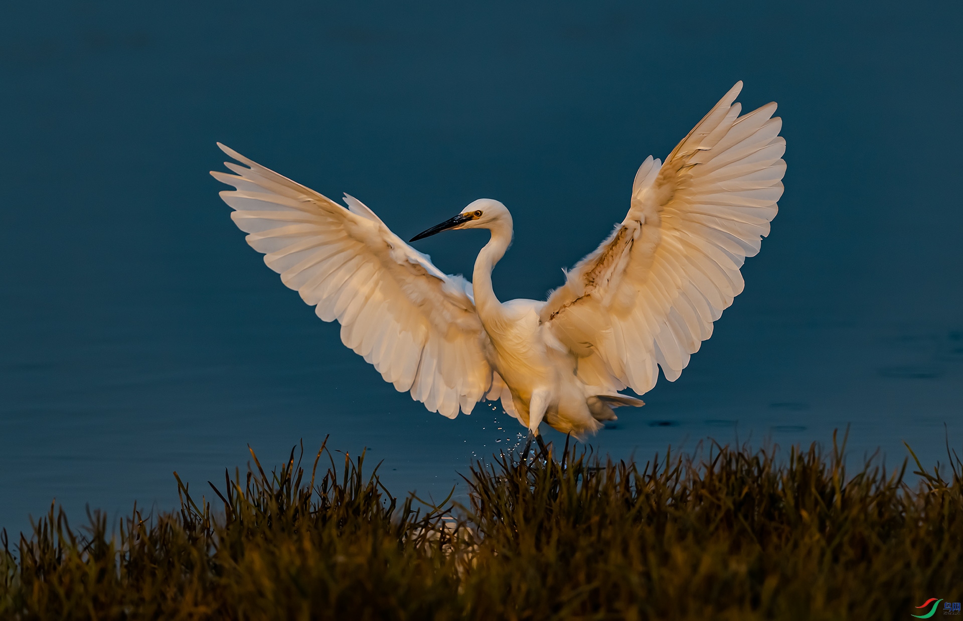 DSC_6891-0.jpg
