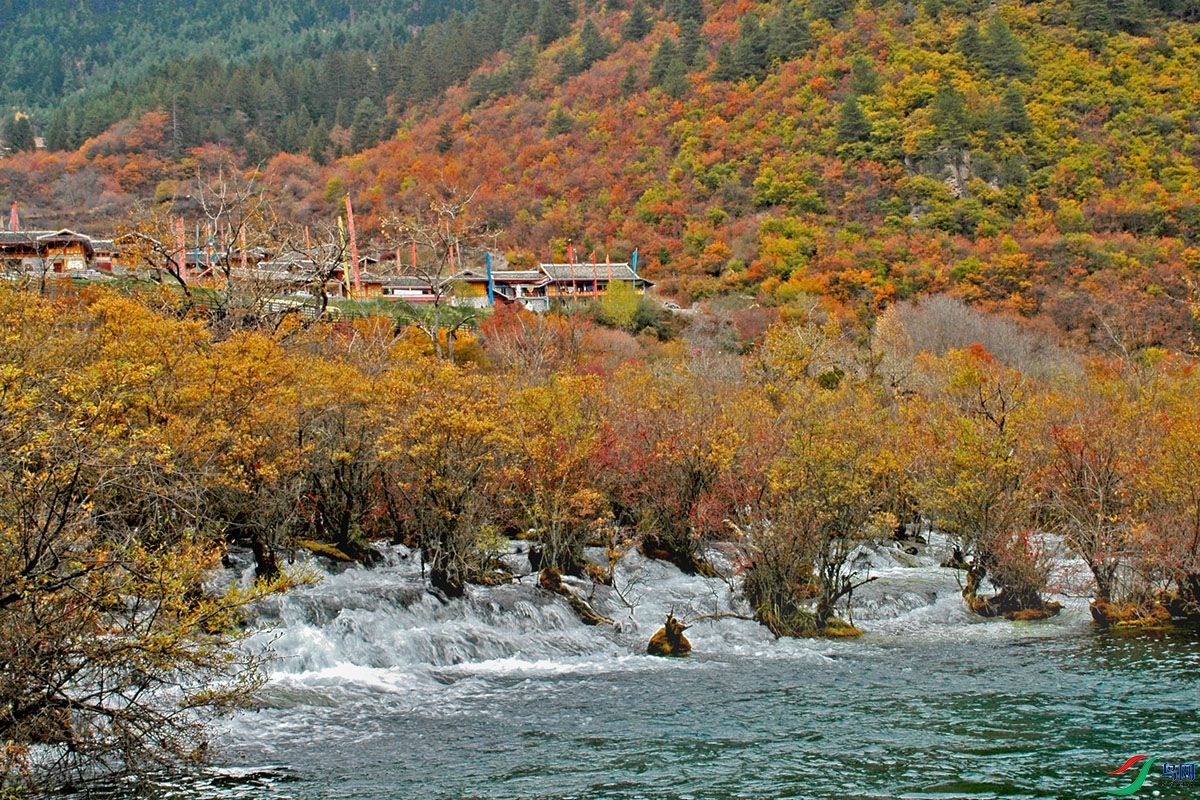 �Ĵ� 013_����.jpg