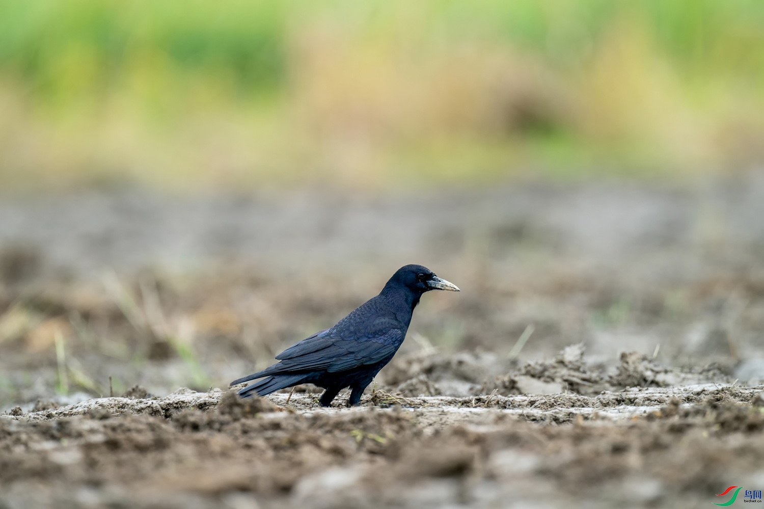 A9D04634a.jpg