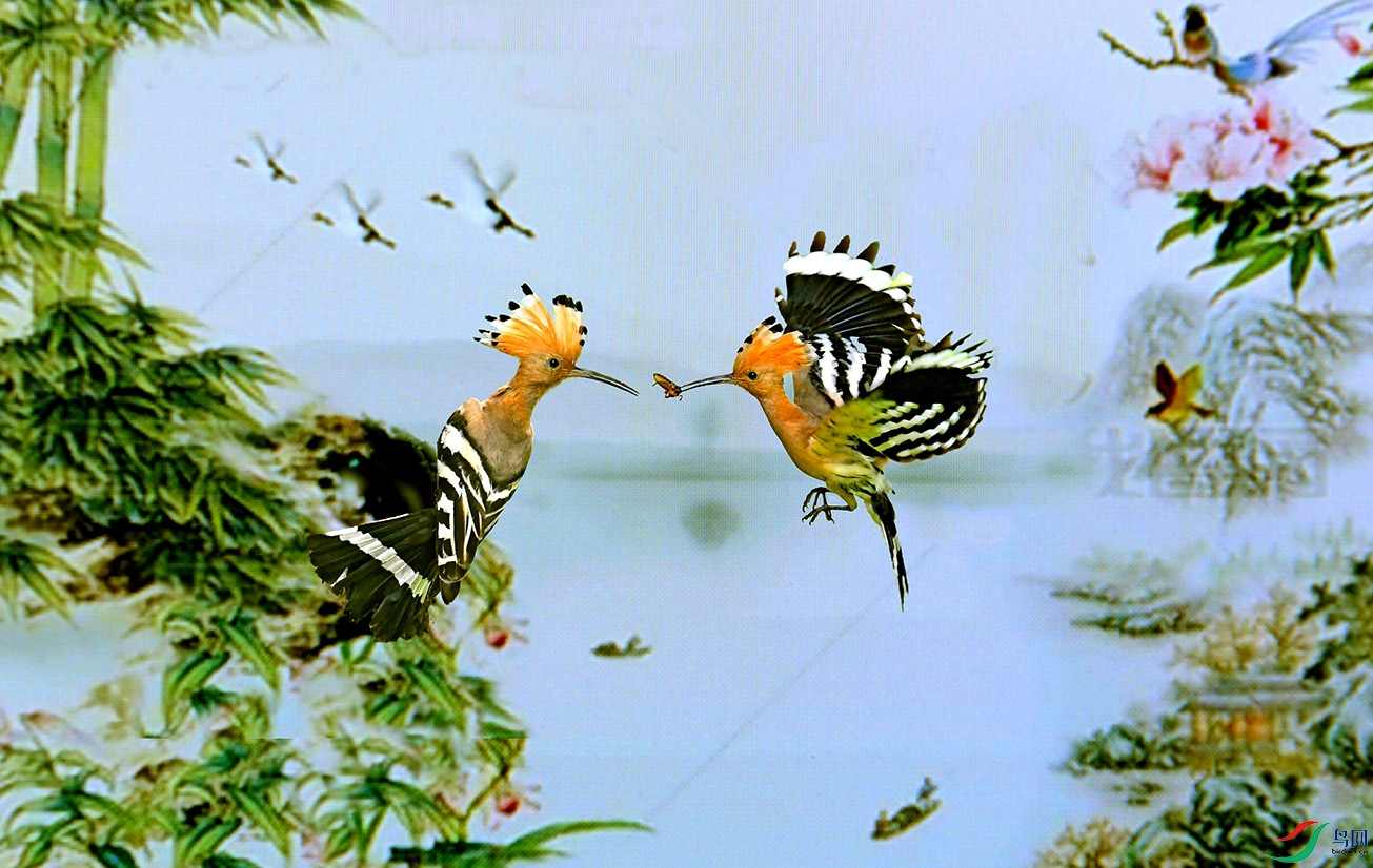 5.����-��ʤ4460AM.jpg