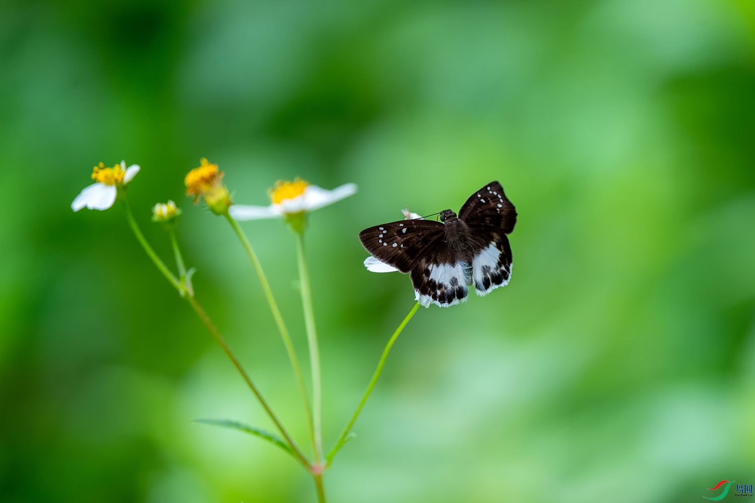 DZ_00200.jpg