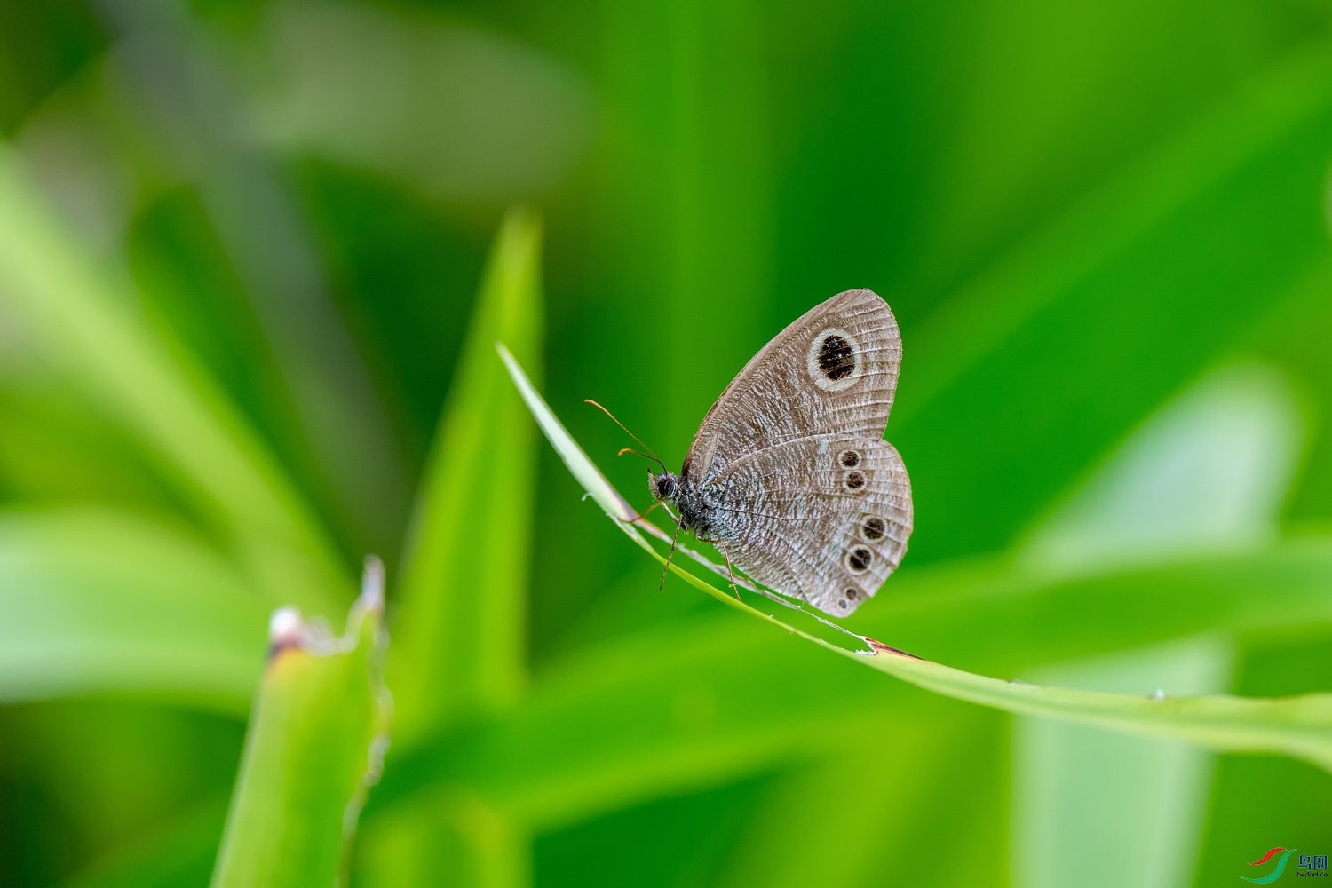 DZ_00251.jpg