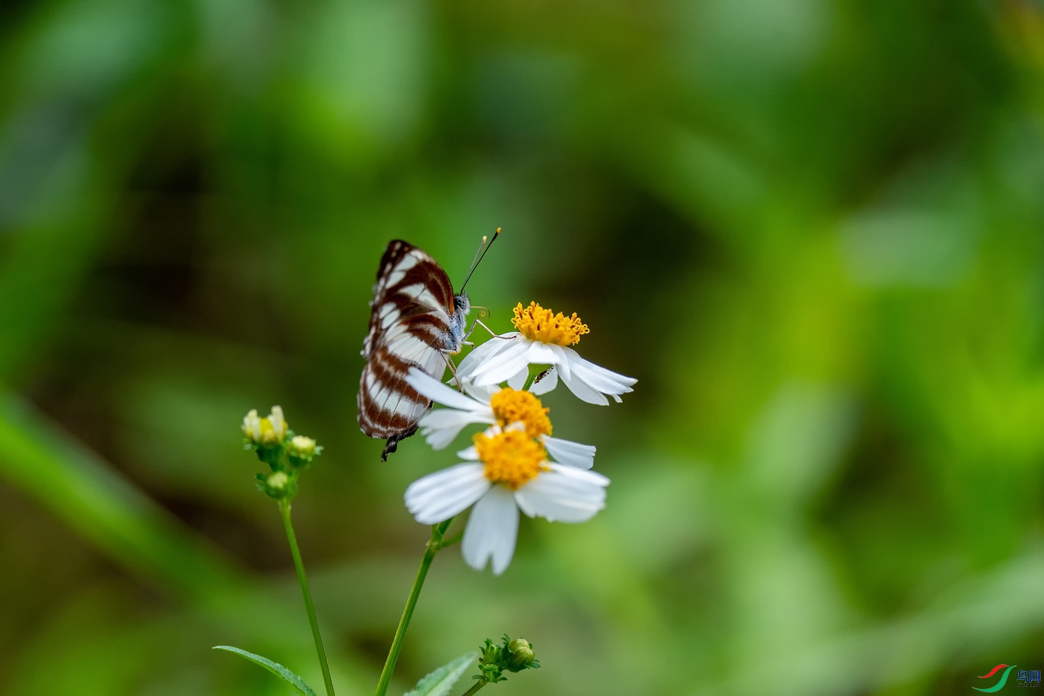 DZ_09842.jpg