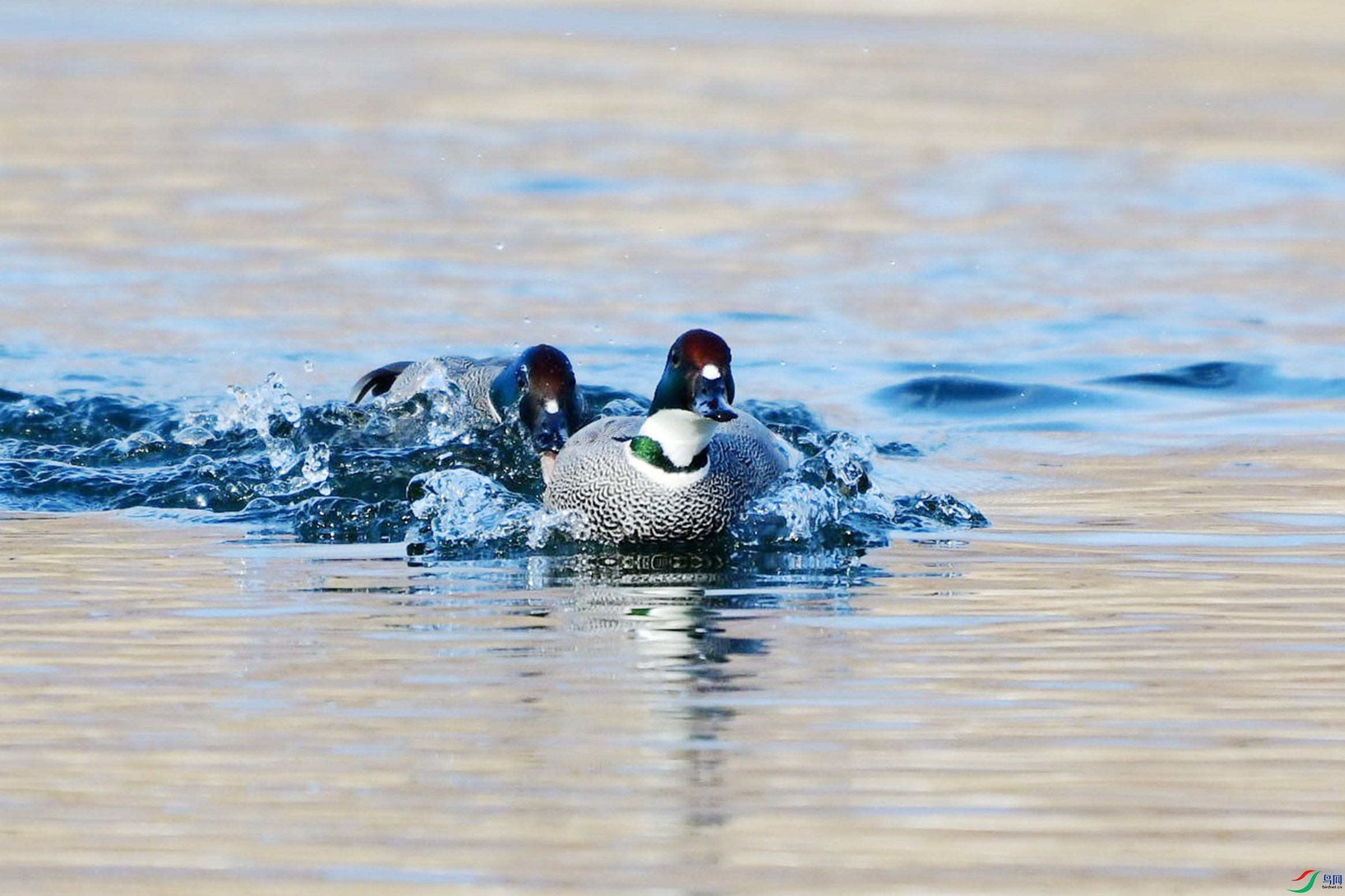 �� 260_����.jpg