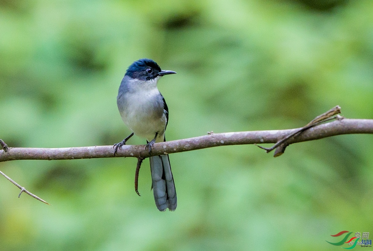 �����б�   ��ʦ����������ʡ˼é��.jpg