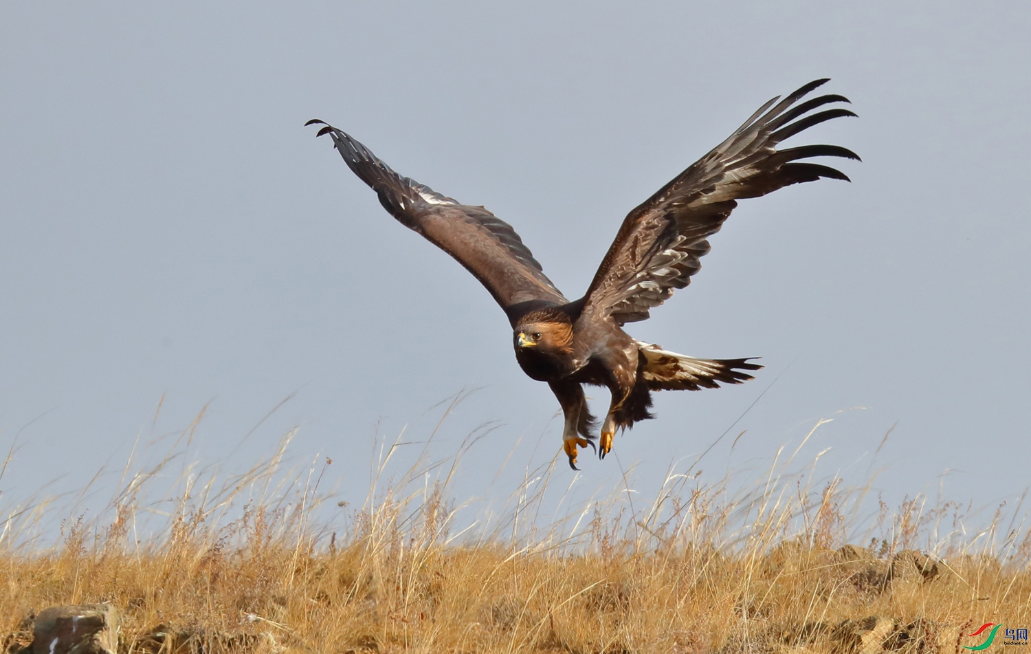 IMG_4046.jpg